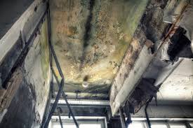 Professional Mold Remediation in Grantley, PA